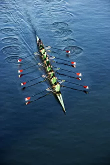 Human Gallery: Crew Team Rowing