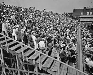 Editorial Prints: Cricket In America