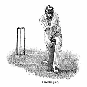 Images Dated 10th November 2013: Cricket - Batsman