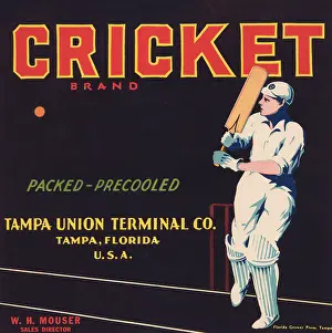 Cricket Prints: Cricket Brand