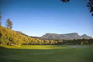 Images Dated 21st March 2014: Cricket Field. Constantia Uitsig Estate. Cape Town RSA