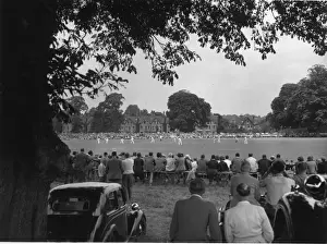 Landscape Back Prints: Cricket Match