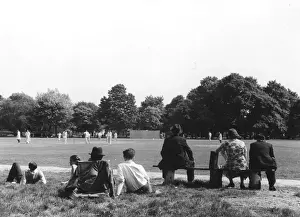 Cricket Match