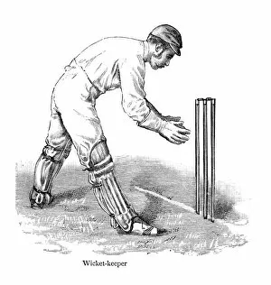 Images Dated 10th November 2013: Cricket - Wicketkeeper