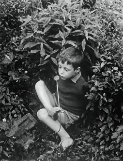 Thalidomide Prints: Crippled Boy Holding Dandelion by Foot