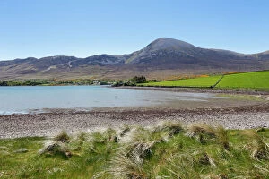 Backgrounds Gallery: Croagh Patrick mountain, Carrowkeeran, County Mayo, Connacht province, Republic of Ireland, Europe