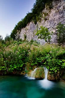 Images Dated 22nd August 2010: Croatia - Plitvice Lakes: Natures Garden