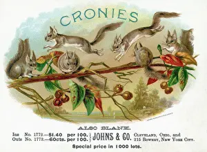 Prices Prints: Cronies Cigar Box Cover W/ Squirrels