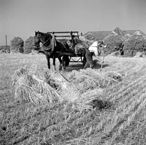 Crop Farmer