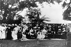 Anyone For Croquet ?