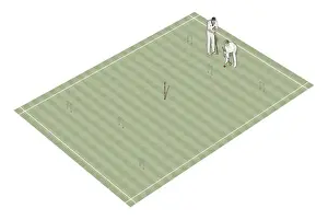 Sports Venue Prints: Two croquet players on croquet court