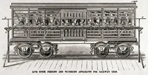 Watering Prints: Crose Section Of Live Stock Railway Car