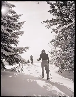 Trail Prints: Cross Counrty Skiers On A Trail