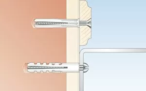 Cross section digital Illustration of general purpose and nylon wallplugs securing screws in solid wall through timber