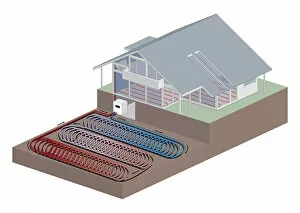 Images Dated 5th February 2009: Cross section digital illustration showing ground-source heat pumps