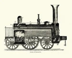 Images Dated 9th April 2019: Cross section of an early steam locomotive train