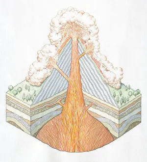 Volcano Collection: Cross-section of erupting Volcano