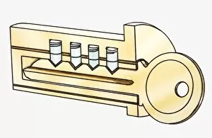 Images Dated 17th June 2010: Cross section iIllustration of key in lock