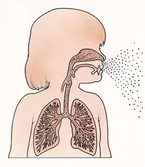 Cross section illustration of child in profile showing lungs and trachea, exhaling breath from mouth and nose