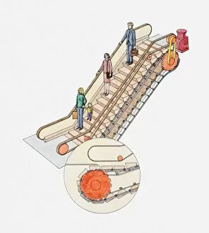 Cross section illustration of people on escalator and how it works