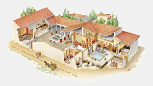 Dorling Kindersley Prints Gallery: Cross section illustration of Roman villa