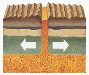 Changing Gallery: Cross section illustration showing the edges of two tectonic plates being pushed apart with magma beneath