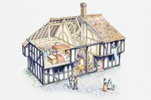 Images Dated 16th June 2010: Cross section illustration of Tudor house