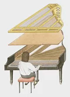 Cross section illustration of woman playing grand piano showing how sound is produced