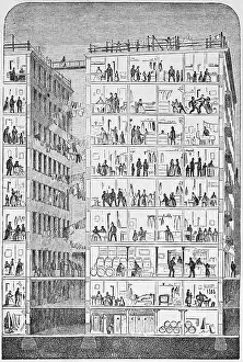 Cross Section of a Tenement House
