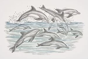 Cross-section underwater view of dolphins swimming and leaping over water surface, side view