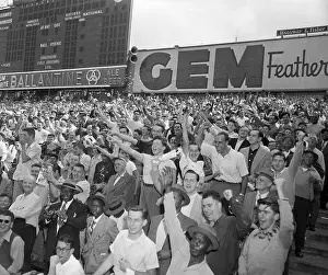 Crowd During Baseball Game