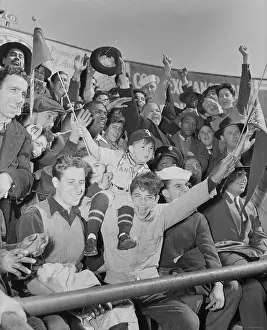 Crowd Cheering at Ballgame
