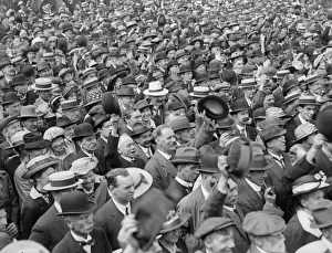 Crowd Consensus
