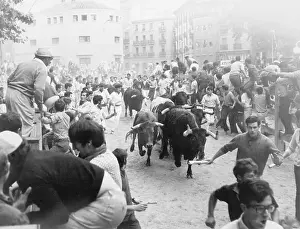 Crowd Dodging Bulls in Pamplona