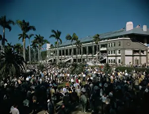 Miami Prints: Crowd at Hialeah Park Race Track