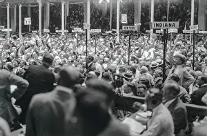 Louis Prints: Crowd at National Democratic Convention
