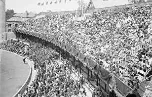 Cheering Prints: Crowd at Olympic Games