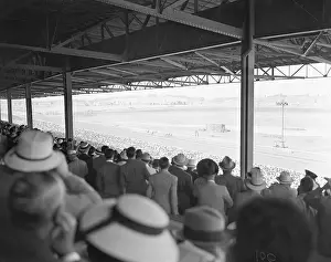 Inglewood Prints: Crowd Watching Horse Race