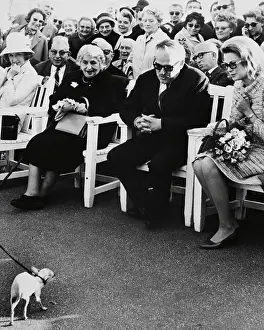 Crowd Watching Small Dog