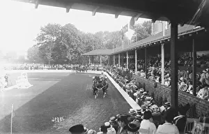 Newport Prints: Crowded Grandstands and Horsedriven Buggies