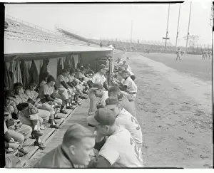 Milwaukee Prints: Crowed View of Visitors Dugout
