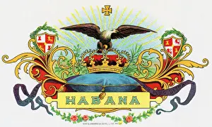 Crown With Eagle On Habana Cigar Box