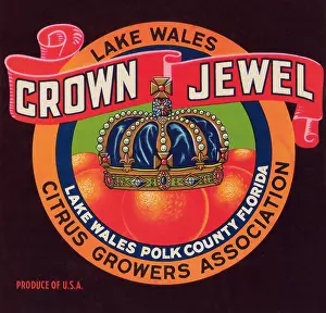 Florida Prints: Crown Jewel