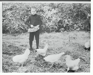 Akihito Prints: Crown Prince Akihito Feeding Chickens on Palace Grounds