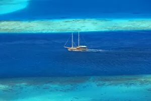 Images Dated 11th November 2007: Cruising in blue, Maldives