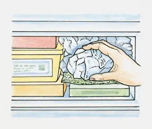 Filling Prints: Crumpled newspaper in plastic bags being placed into empty spaces in a freezer to maintain efficient freezing