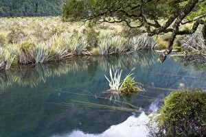 The crystal clear Mirror Lakes, Te Anau Downs, Southland Region, New Zealand