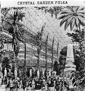 Crystal Palace