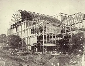 Crystal Palace