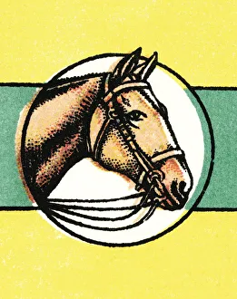 Images Dated 26th February 2015: Horse